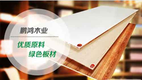 2016年中国十大板材品牌名单