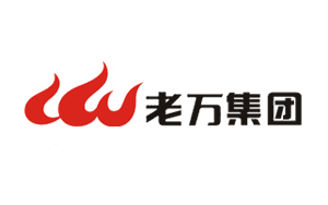 属于中国驰名商标的著名燃气壁挂炉品牌有哪些?