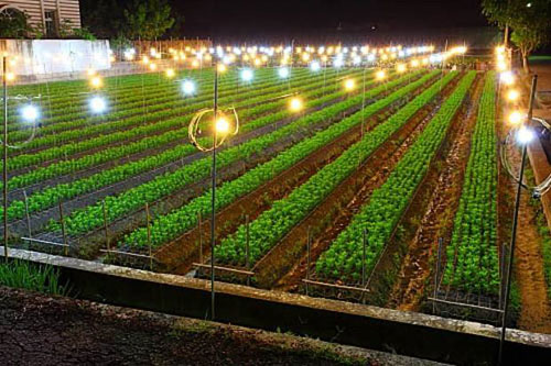 LED植物照明不同波长的作用与特点介绍