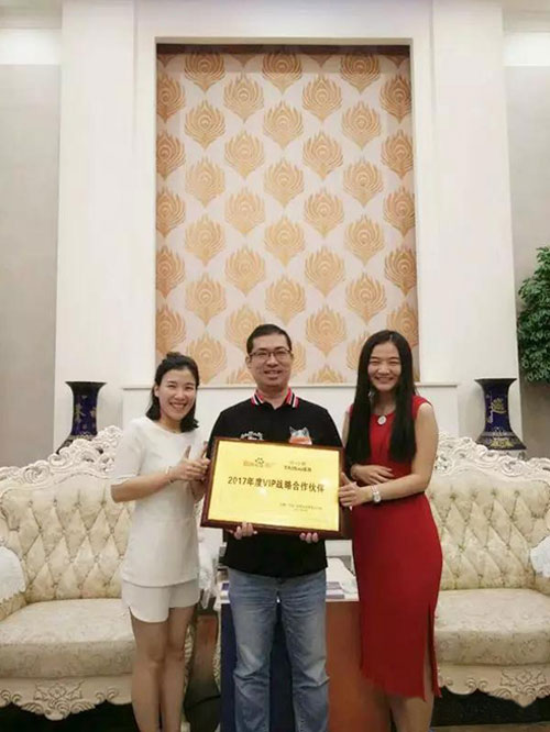 泰诗尔——百度VIP战略合作伙伴!