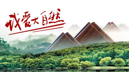 2017-2018中国十大木地板品牌排行榜