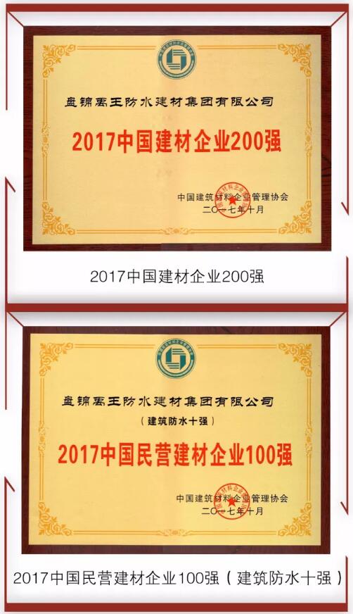 防水材料品牌荣誉|禹王集团荣获中国建材企业200强等