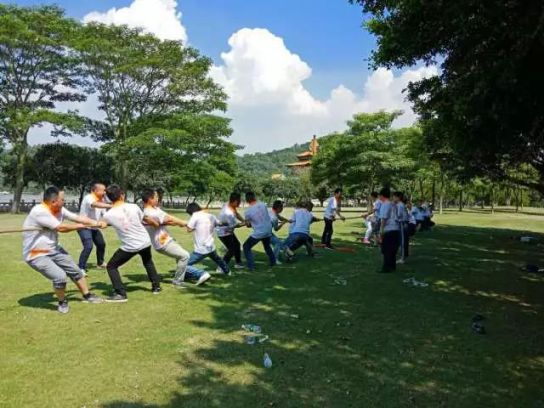 品牌大事|打造狼性团队，美涂士防水团队召开二季度冲刺会议