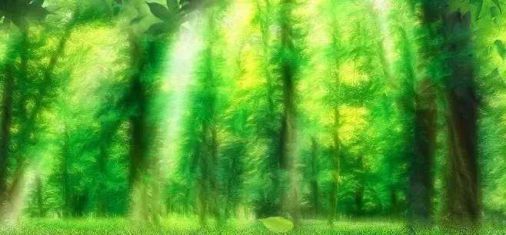 品牌产品|雪宝森林有氧板，有效释放负氧离子长达15年