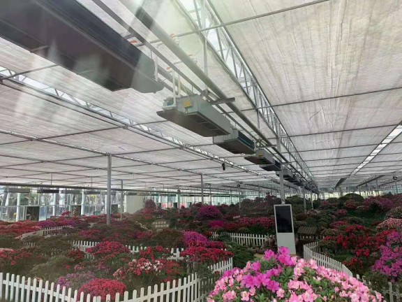 岳西大观园12000㎡花卉大棚采用格美粤空气源热泵，三年无故障运行