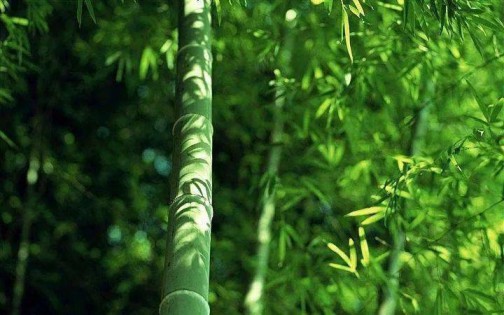 1+N模式,一起来探讨人文艺术瓷砖的原创密码! 1+N模式,一起来探讨人文艺术瓷砖的原创密码!