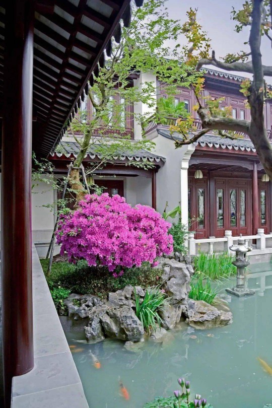 山水为丹青，门窗为镜头！三宅门窗为中式建筑添彩… 